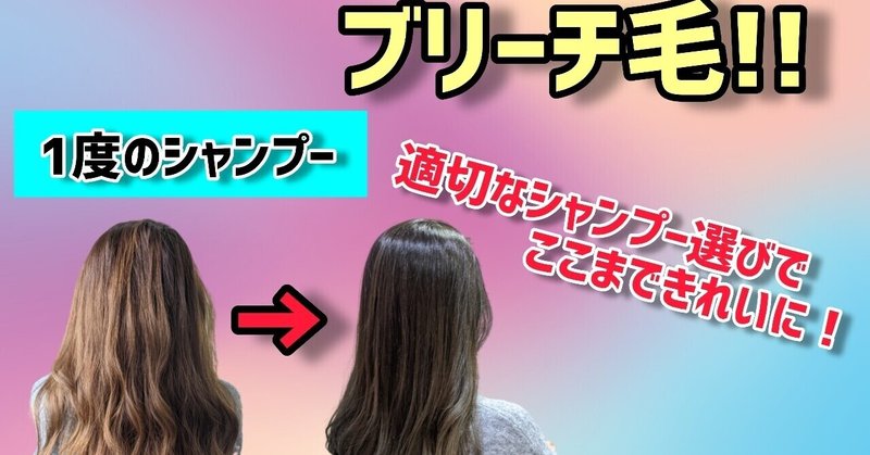 自宅で本格ヘアケア ブリーチしてダブルカラーした髪を自宅でキレイにする方法と解説 髪のお悩み改善特化美容師 むらい ゆうた Note 自宅で本格ヘアケア ブリーチしてダブルカラーした髪を自宅でキレイにする方法と解説 髪のお悩み改善特化美容師 むらい ゆうた Note