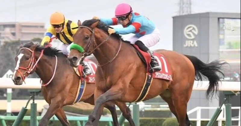 アメリカジョッキークラブカップ Ajcc 2021を過去傾向 注目馬 展開から予想 Rin Note