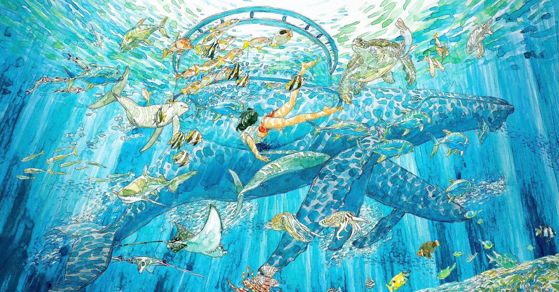 うみとさち」パートナーのご紹介Vol.3】海の多様性を描く漫画家｜うみ