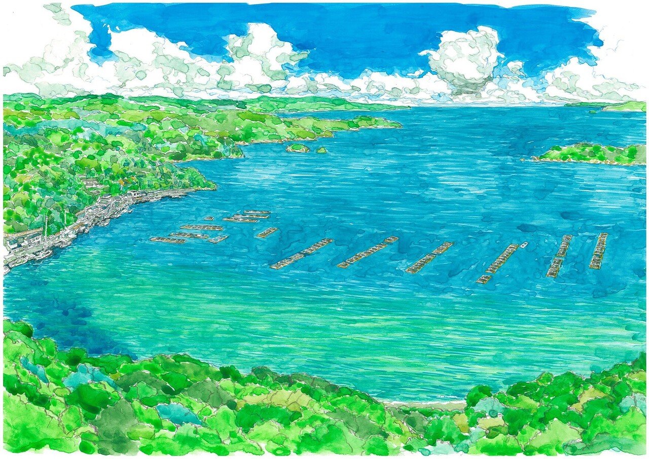 うみとさち」パートナーのご紹介Vol.3】海の多様性を描く漫画家｜うみ