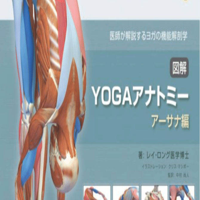 ヨガの解剖学を日本語と英語の両方で学びましょう。解剖学の知識も英語