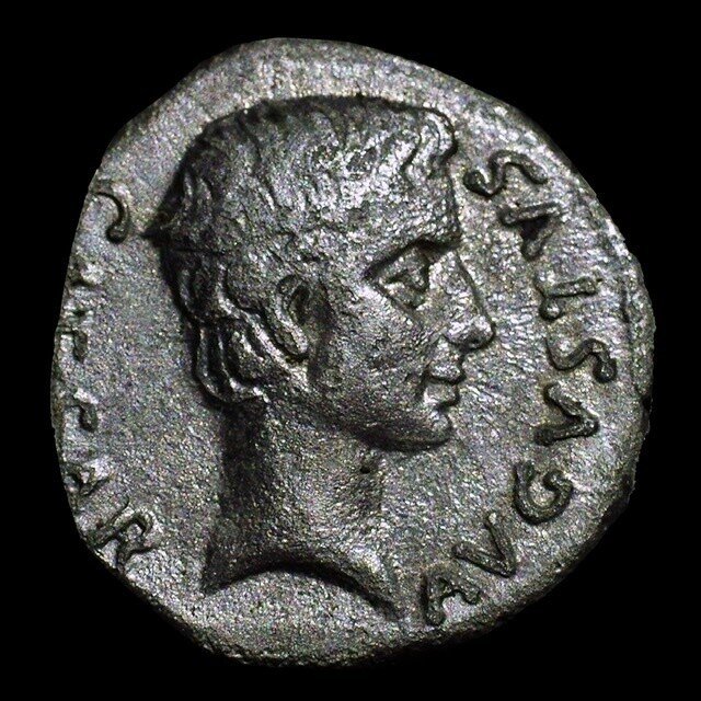 古代共和政ローマ マルクスアントニウス デナリウス銀貨!ギリシャ テトラドラクマ アンティークコインの世界 〜ギリシア・ローマコインの魅力