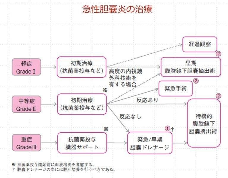 抗生物質が胆嚢炎に効果がない場合