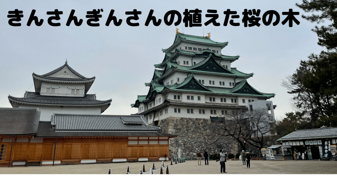 19 きんさんぎんさんの植えた桜の木 ゆう 旅行大好き Note