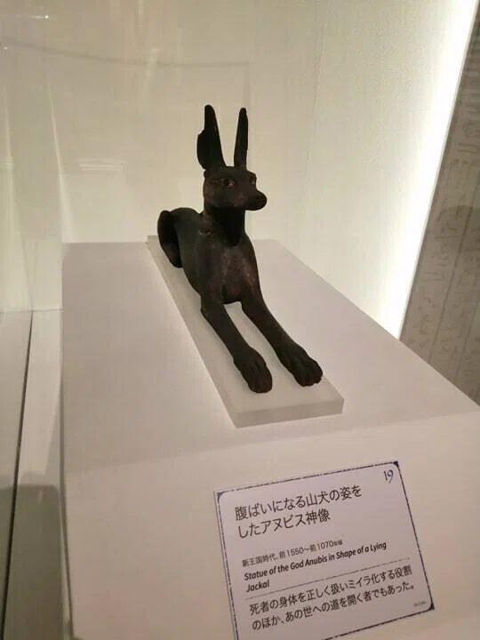疫病に強い古代エジプトの「セクメト女神」も降臨👑国立ベルリン