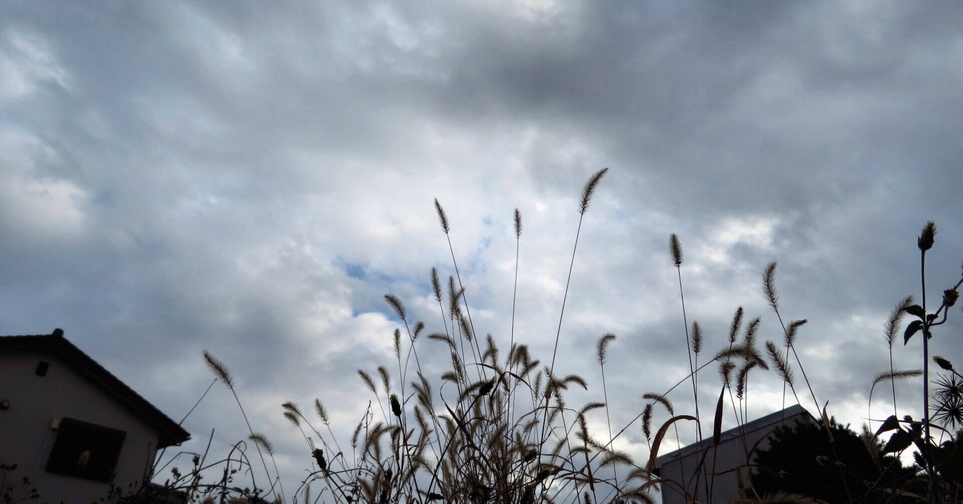 ほめて箱について 西郷 Note ほめて箱について 西郷 Note