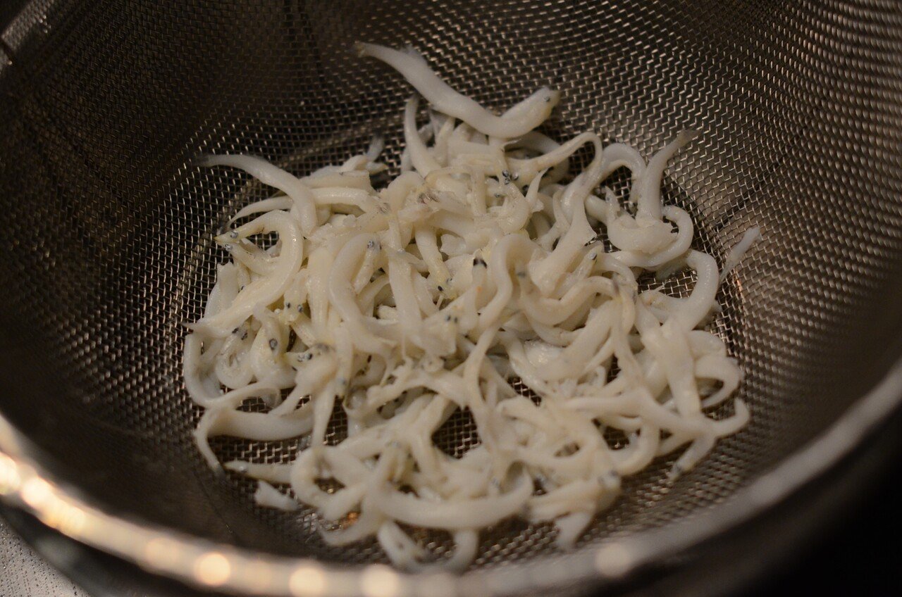湯浅一生研究所 霞ヶ浦のシラウオには 細いパスタがおすすめな理由 茨城県公式 シェフと茨城