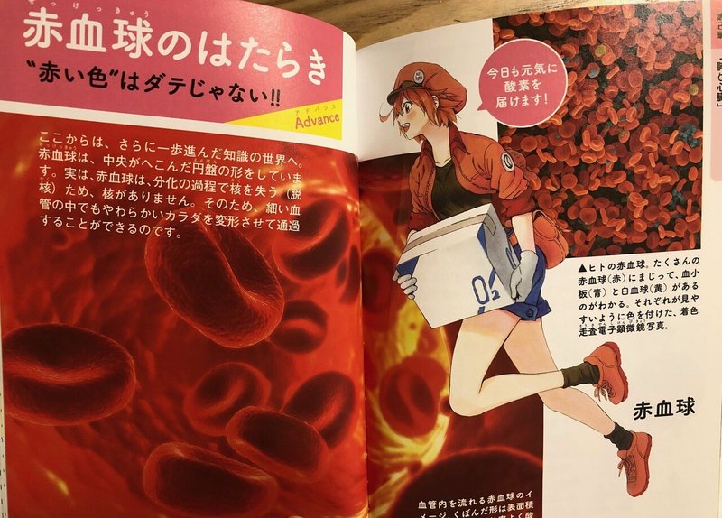 よくわかる はたらく細胞 細胞の教科書 きいす Note よくわかる はたらく細胞 細胞の教科書 きいす Note