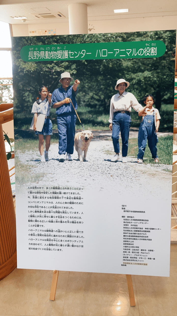 動物について学べる 触れ合える 長野県動物愛護センター ハローアニマル 田口彩人 長野県佐久移住2年生 Note 動物について学べる 触れ合える 長野県動物愛護センター ハローアニマル 田口彩人 長野県佐久移住2年生 Note