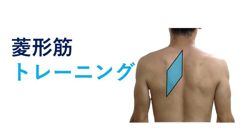 菱形筋トレーニング C I Baseball Note 菱形筋トレーニング C I Baseball Note