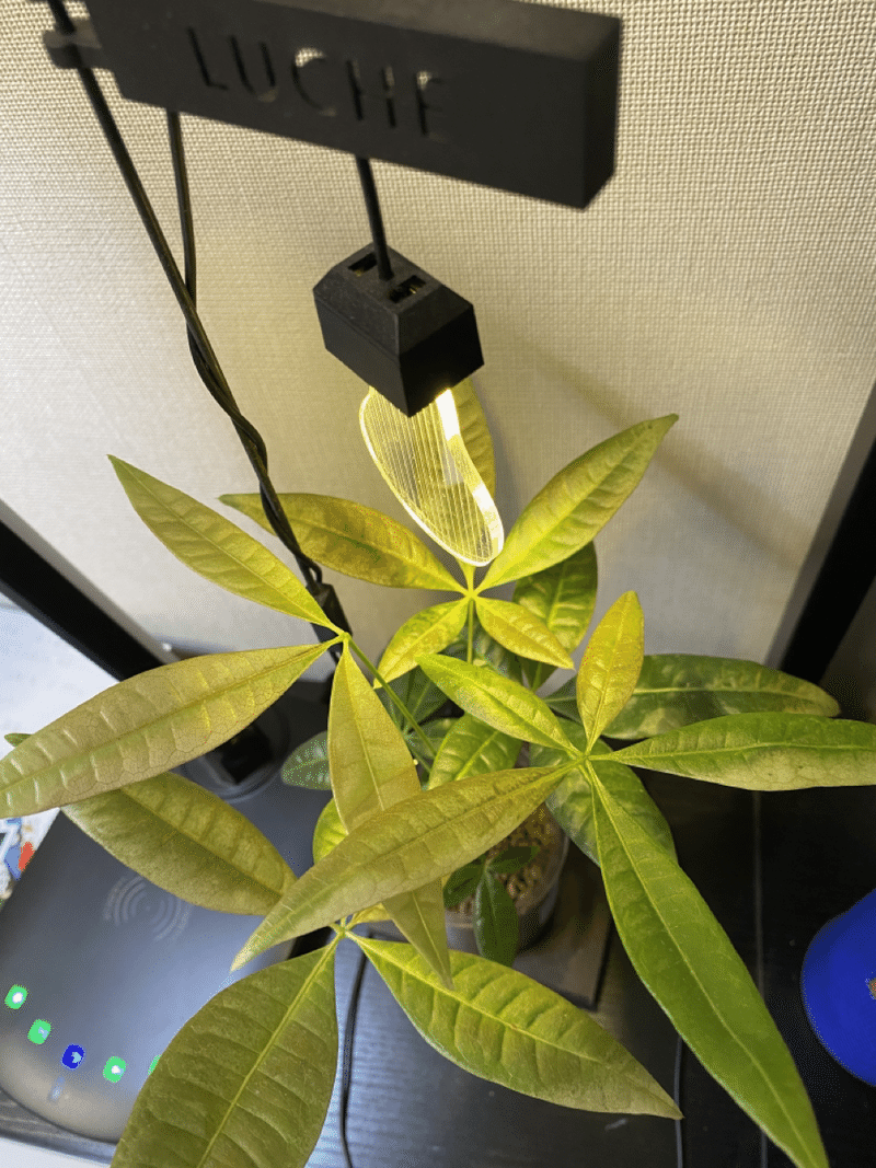 類とは くらっち か くっすん Note 類とは くらっち か くっすん Note