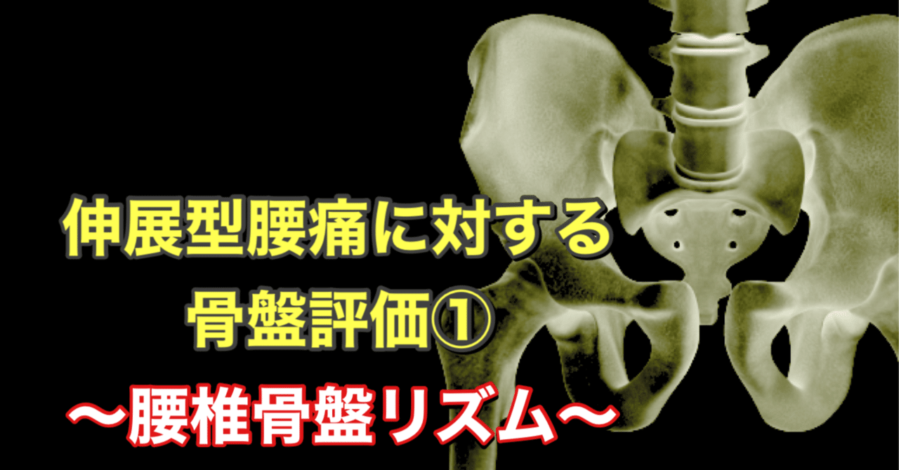 分析からアジャストまで腰痛マスター【腰椎骨盤編】 腰椎・骨盤領域の臨床解剖学 原著第4版 腰痛の評価・治療の科学的根拠