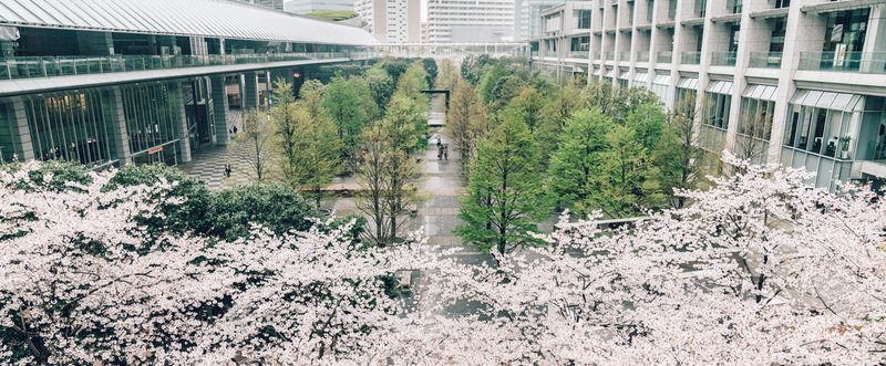 撮り応えある撮影エリア・品川インターシティで写真教室をしてきました。