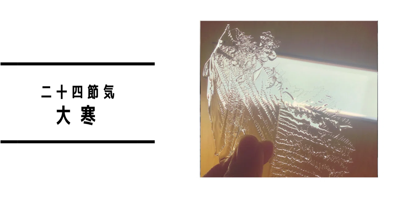 二十四節気【大寒】に入りました |菊(きく) ︎くくり堂 ︎