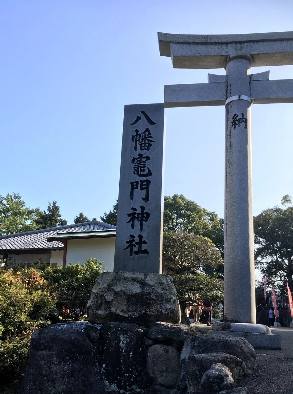 画像9