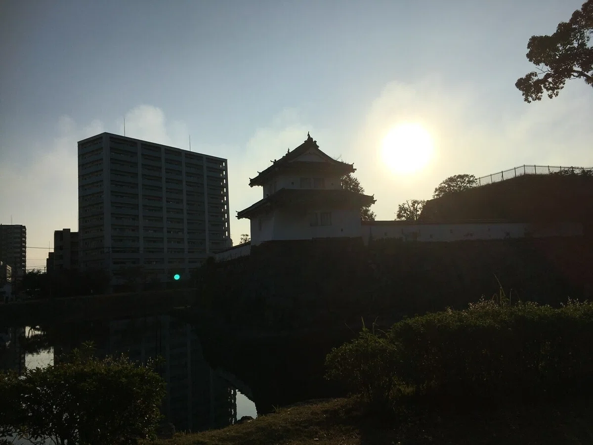 画像16