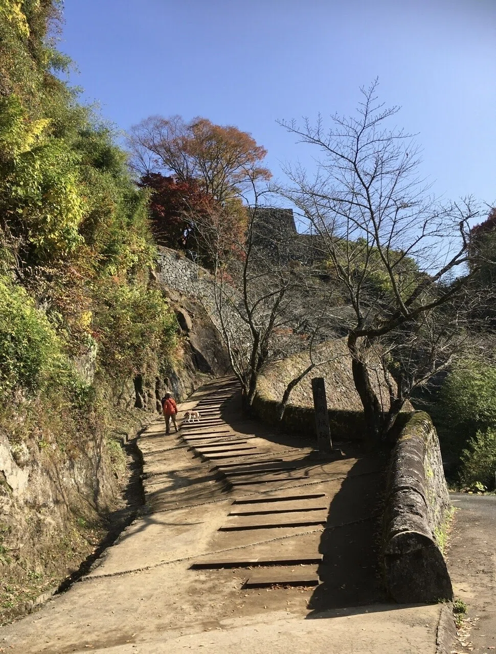 画像18
