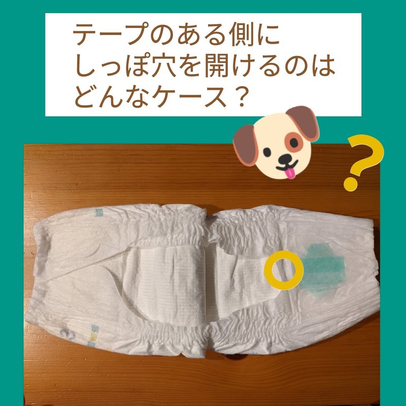 愛犬のおむつ しっぽ穴を開ける 犬の介護 Una Ricca Note
