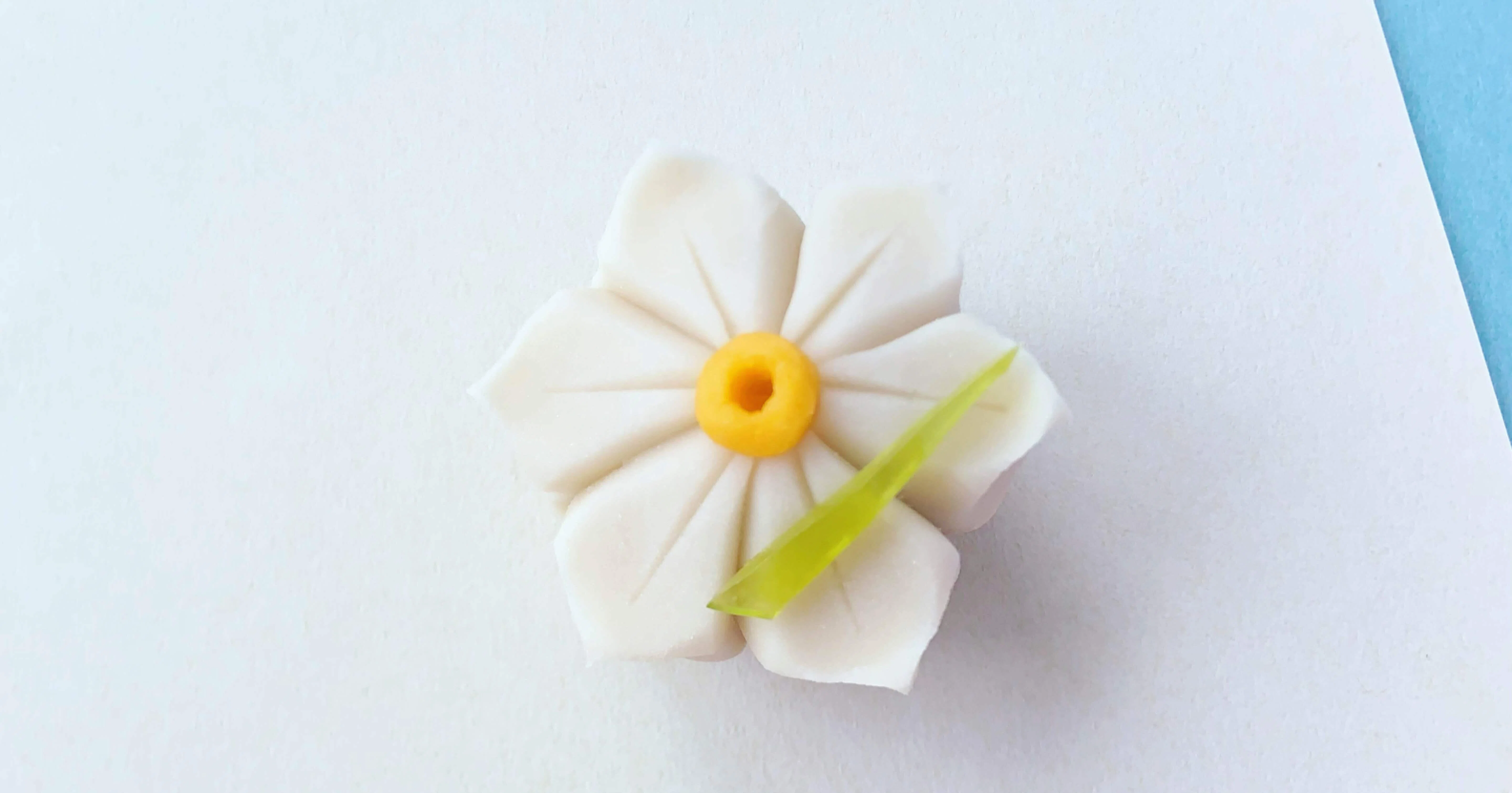1 2 2 大寒のお菓子 雪中花 せっちゅうか 汐音屋 Shioneya Note