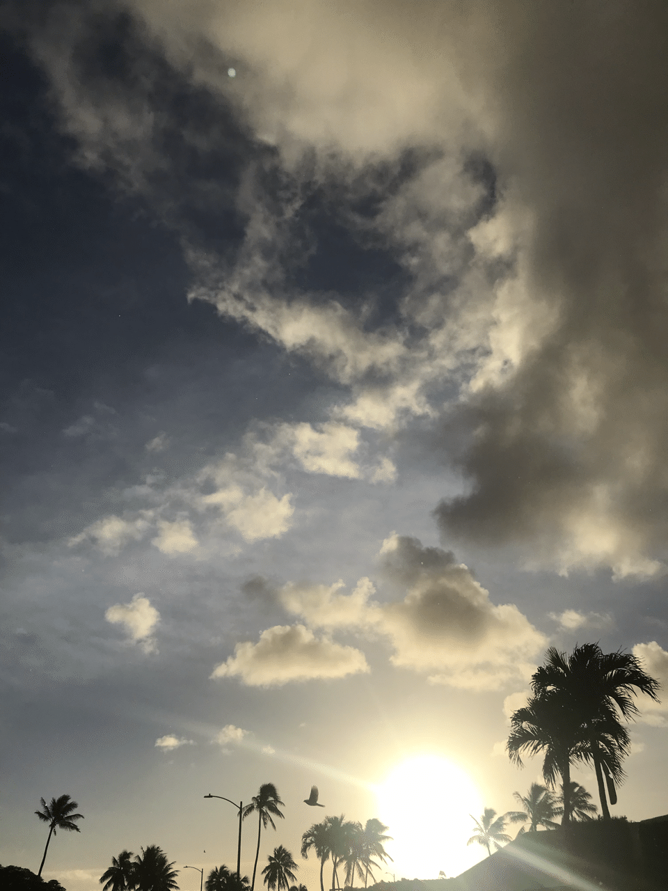 21 1 19 ハワイの朝日 Hawaiine55 Note