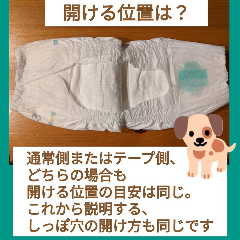 愛犬のおむつ しっぽ穴を開ける 犬の介護 Una Ricca Note