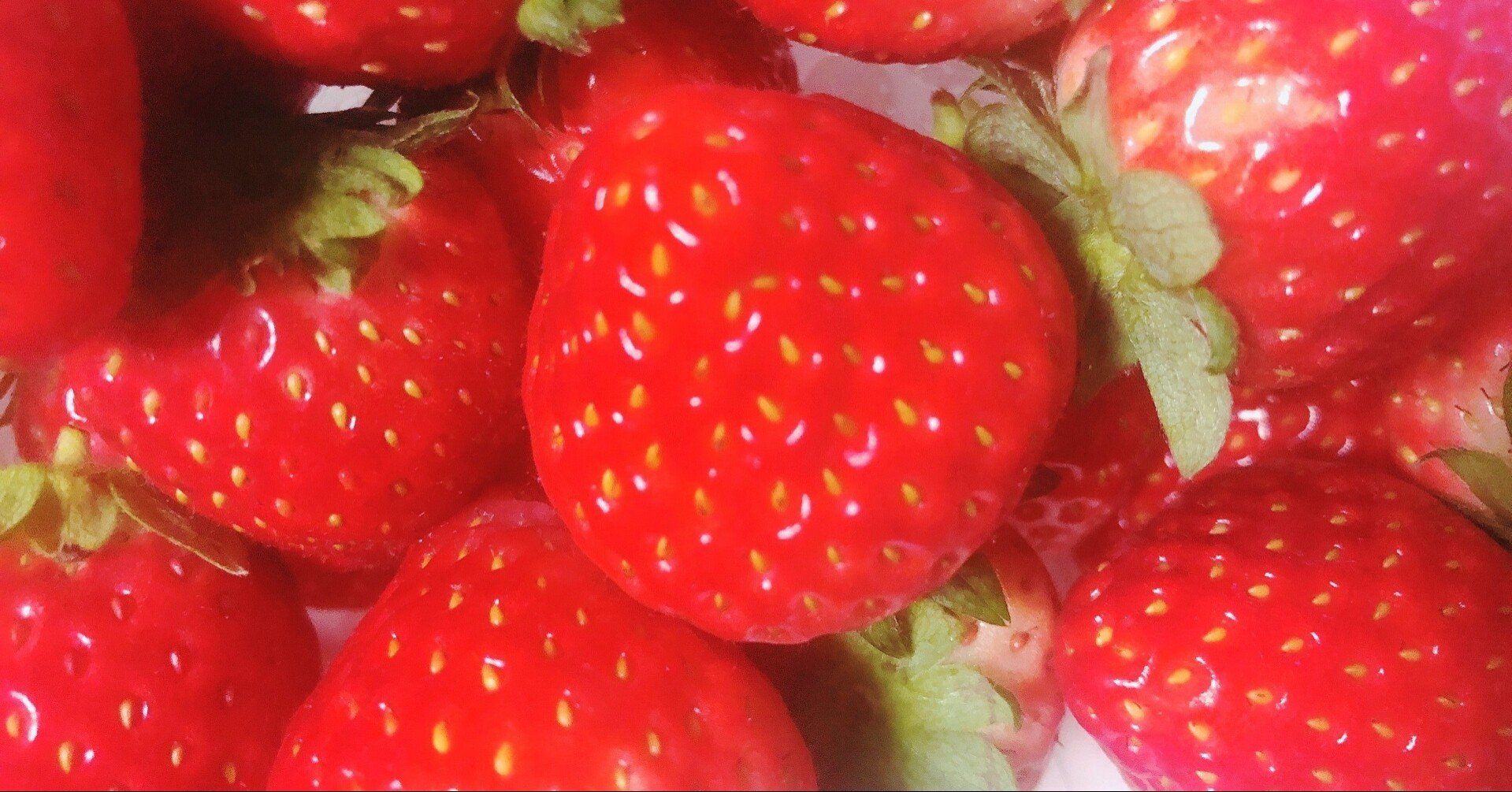栃木県 Aiでいちごの生産量 出荷量を倍増する 高橋翼 Note 栃木県 Aiでいちごの生産量 出荷量を倍増する 高橋翼 Note
