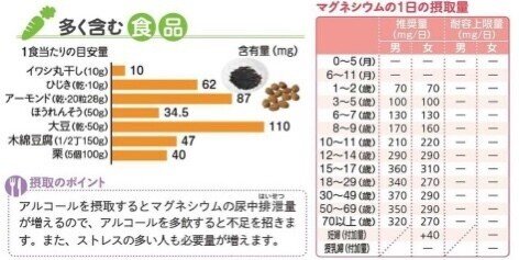 の 食品 マグネシウム 多い