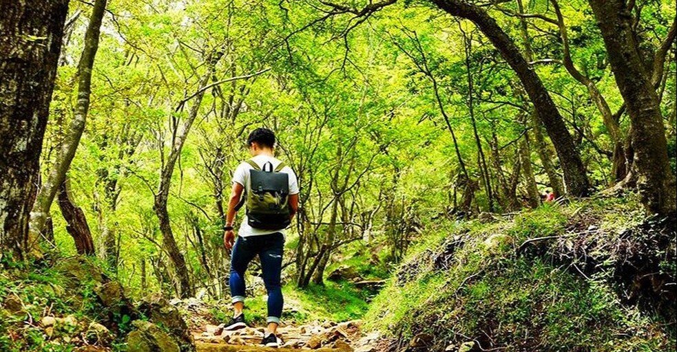 ブラジルと鹿島を経験したが燃え尽きてしまった若者の真実 Maki Note ブラジルと鹿島を経験したが燃え尽きてしまった若者の真実 Maki Note