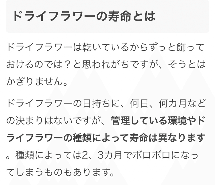 ドライフラワー って永遠に咲いてる花だと思ってた Nisai シンガーソングライター Note ドライフラワー って永遠に咲いてる花だと思ってた Nisai シンガーソングライター Note