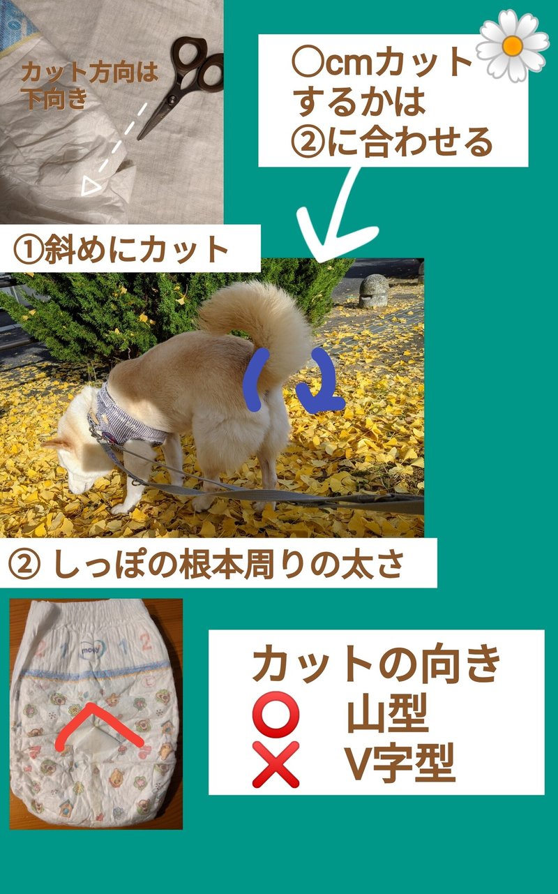 愛犬のおむつ しっぽ穴を開ける 犬の介護 Una Ricca Note