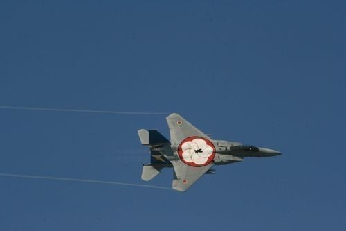 2012年の航空自衛隊百里基地航空祭でのF15