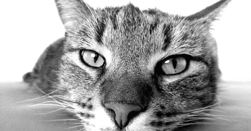 人生50代 疲れた人へ 明け渡しの話 ハイヤーセルフの目覚め くるまだ まさのぶ Note