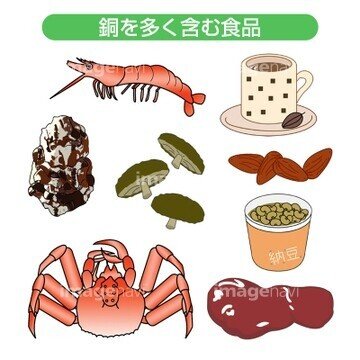 銅を含む食品