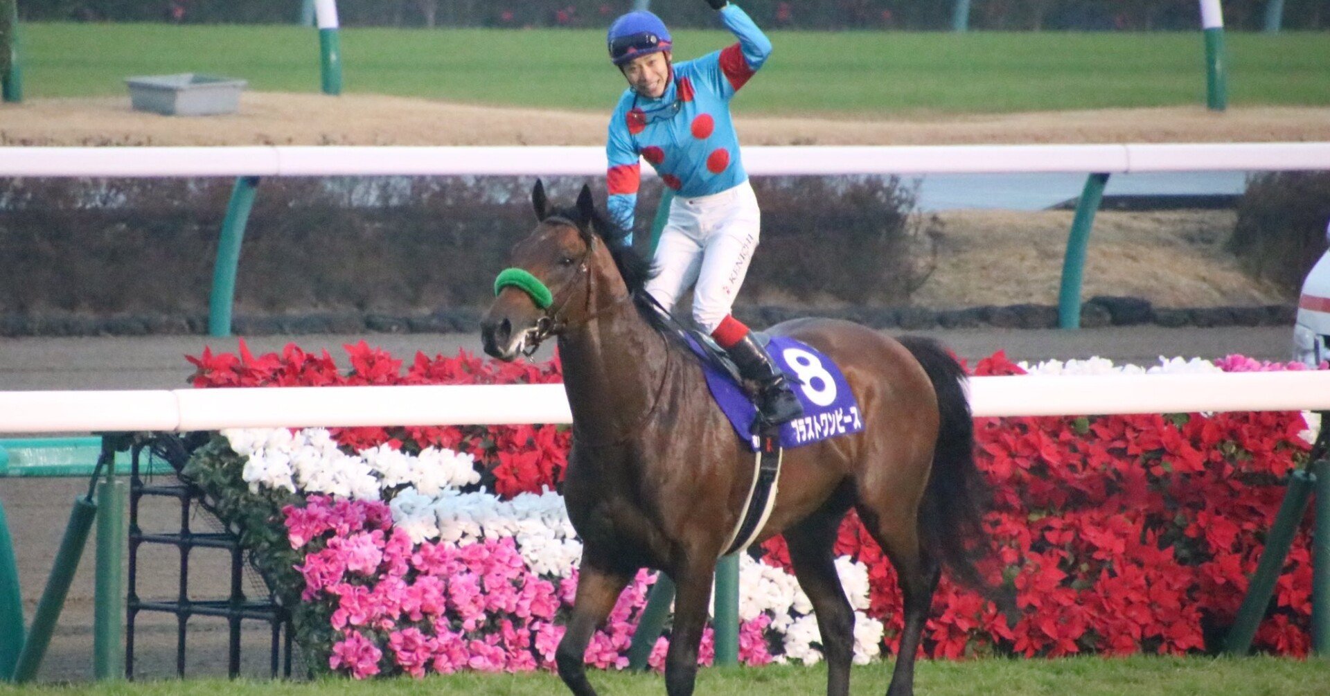 池添騎手・ブラストワンピースグッズまとめ c69a700f1bd952e6ad8ef6b468740a