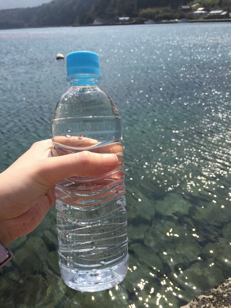 ミズクラゲ飼育 クラゲの飼育容器 ビンと水槽 あそびとくらしの店 海月堂 Note ミズクラゲ飼育 クラゲの飼育容器 ビンと水槽 あそびとくらしの店 海月堂 Note