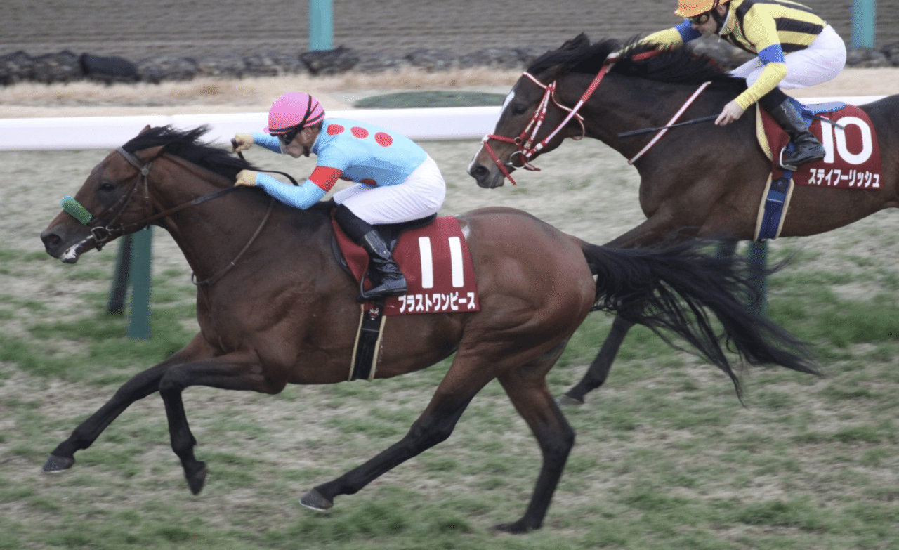 競馬を教えてくれたブラストワンピース｜とある馬好き大学生
