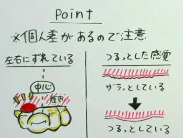 Gスポットの確実な探し方3選 図解 動画 女性の中イキ性感帯 セクテクノート Note Gスポットの確実な探し方3選 図解 動画 女性の中イキ性感帯 セクテクノート Note