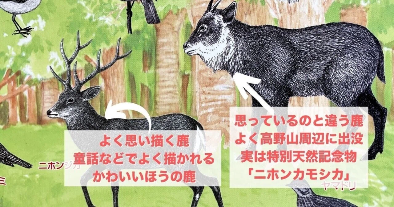 謎の生き物に遭遇したと、時折インターネットで目撃情報がありますが
