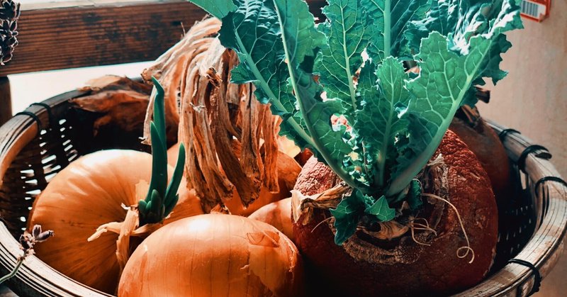 前例主義の騎士団 ごま吉 Note