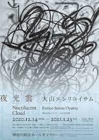 大山エンリコイサム「夜光雲」