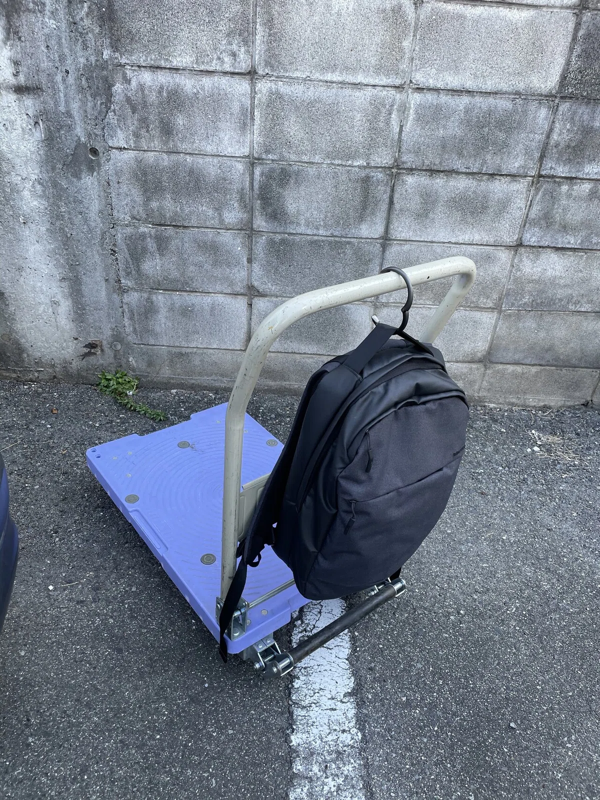 画像4