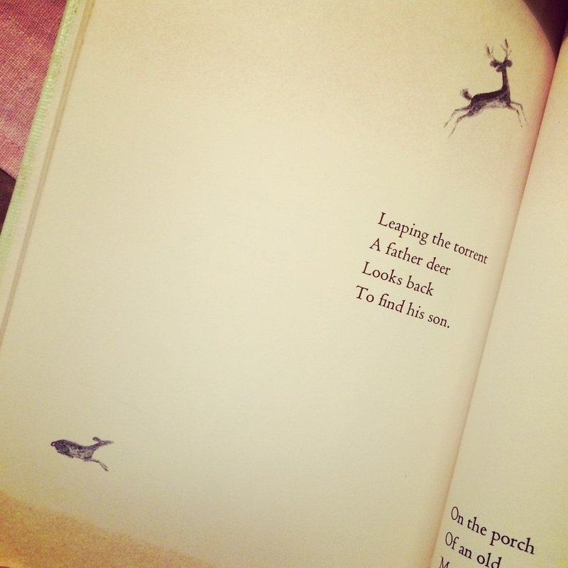 わび さび という日本の美意識 可笑的花 Note