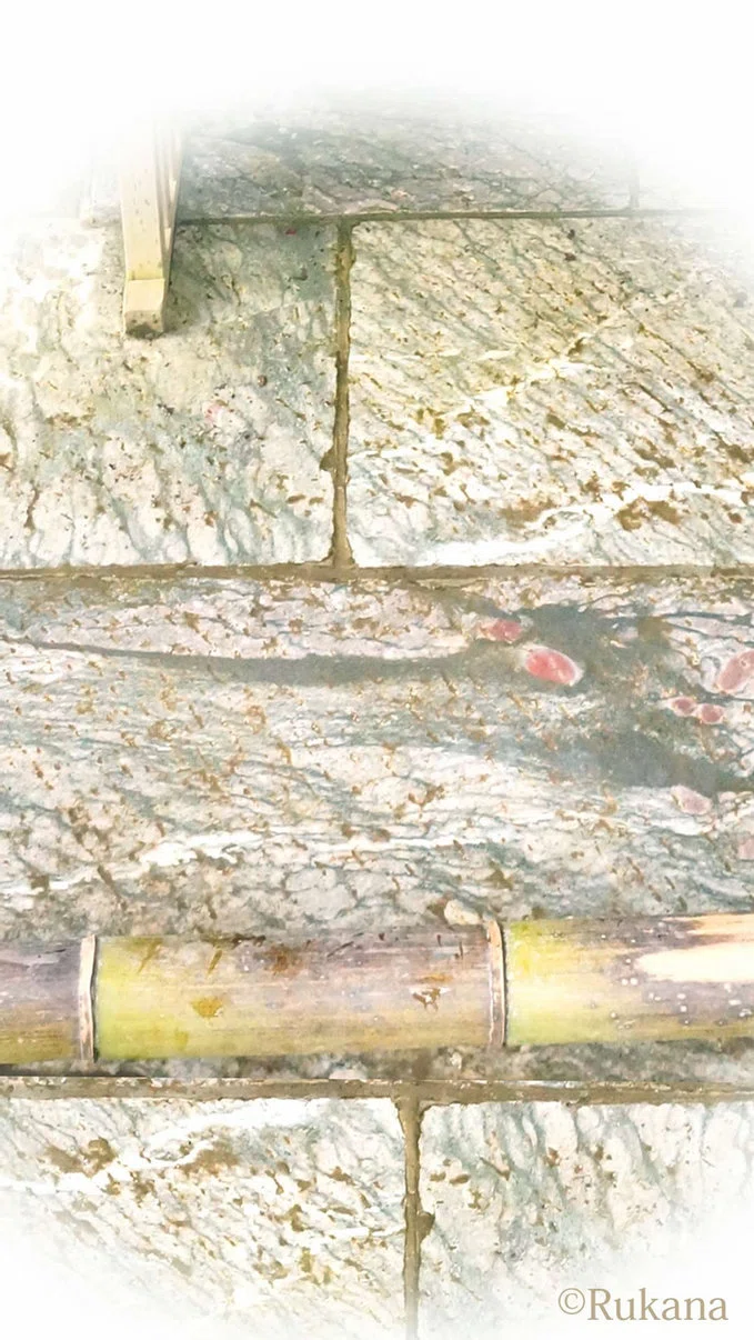 三峰神社 浮かび上がる龍 ユニティ Note