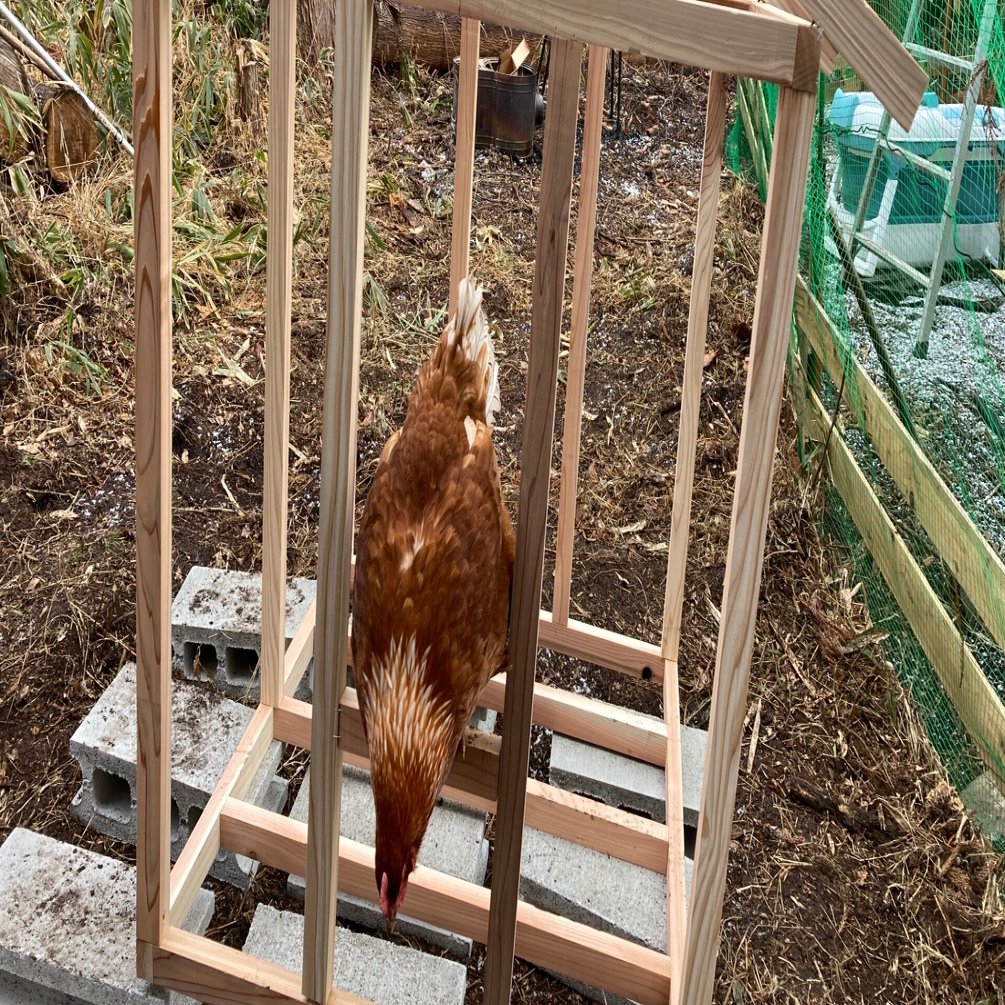 スピールフォーム　鳥小屋 スピールフォーム 鳥小屋