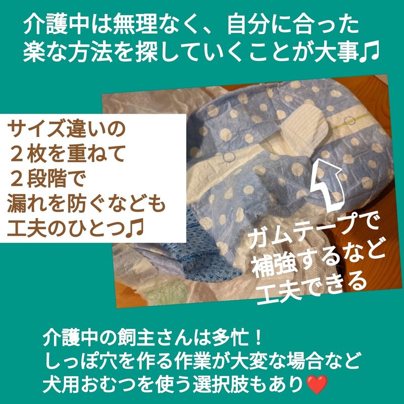 愛犬のおむつ しっぽ穴を開ける 犬の介護 Una Ricca Note