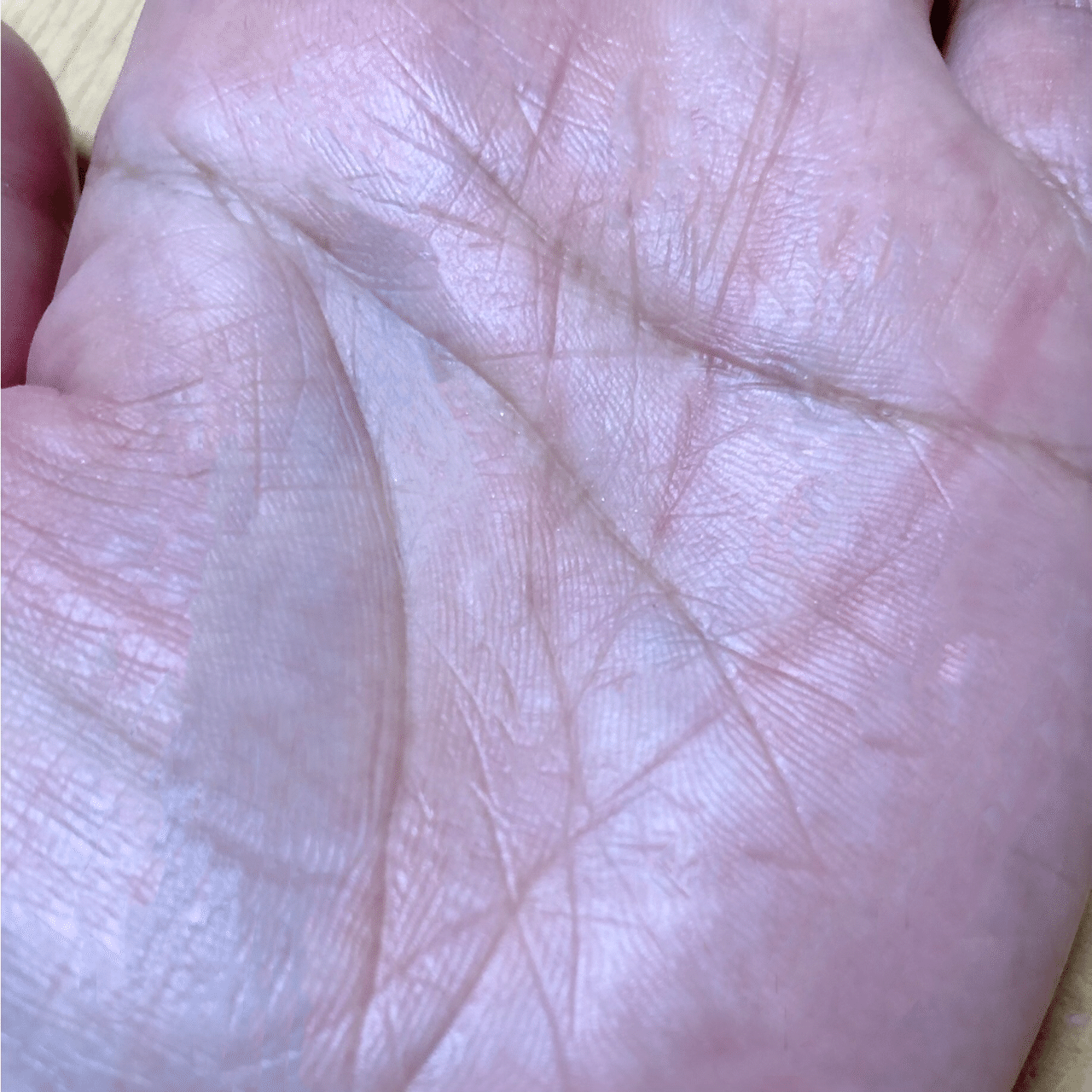 己巳の日 覇王線 Jolie Mandarine Note