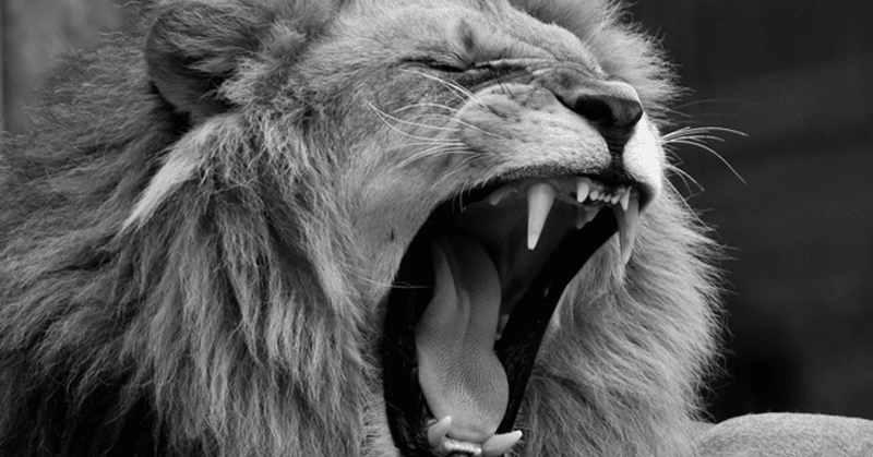 【その時のライオン】 #588