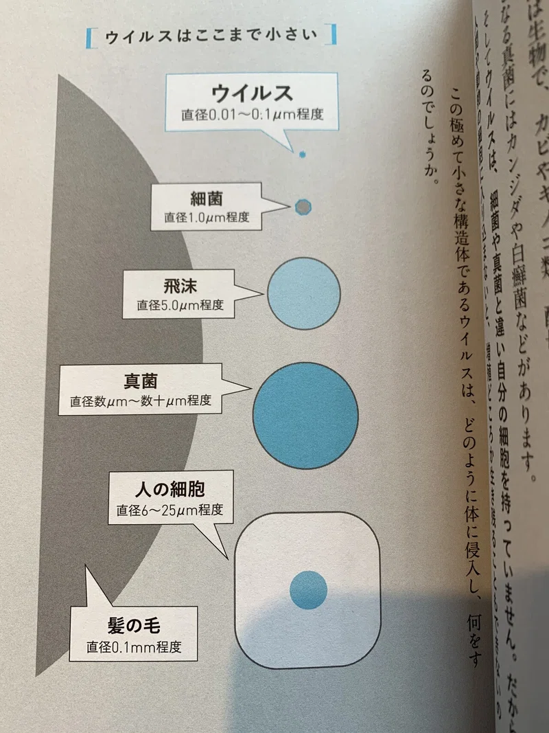 ウイルスから体を守る 骨盤矯正専門家 梶田 了 かじた式骨盤整体スクール代表 ライフ快療院南浦和本店院長 Note