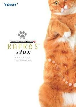 猫】ラプロス投与再開後の推移｜たけBlog｜note