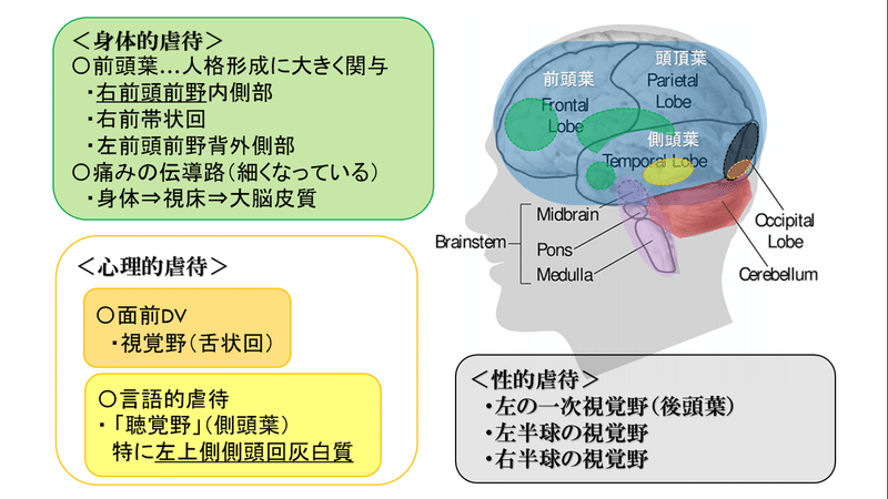 虐待 マルトリートメントと脳 第二期 第6回 清水聖 ダブルハンディキャップ臨床心理士 Note 虐待 マルトリートメントと脳 第二期 第6回 清水聖 ダブルハンディキャップ臨床心理士 Note